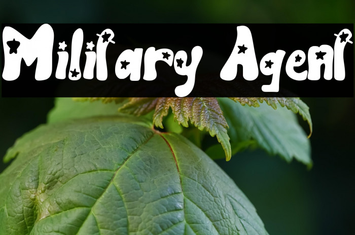 Military Agent Example 2