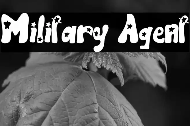 Military Agent Example 2