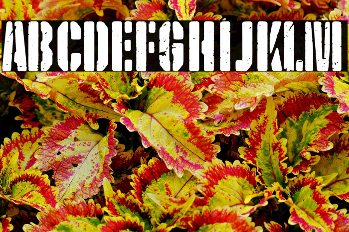 Military Poster Example 3