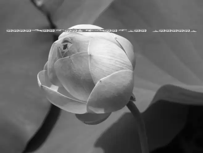 Military dingbats (demo)    Fenotype Font examples