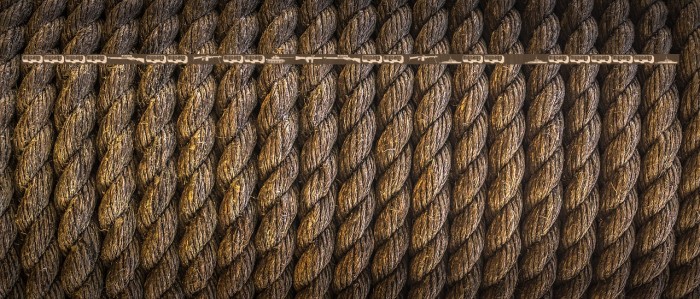 Military dingbats (demo)    Fenotype Example 3