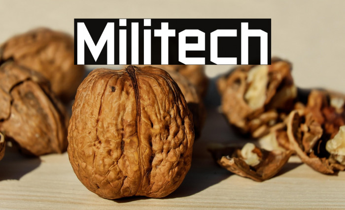 Militech Example 1