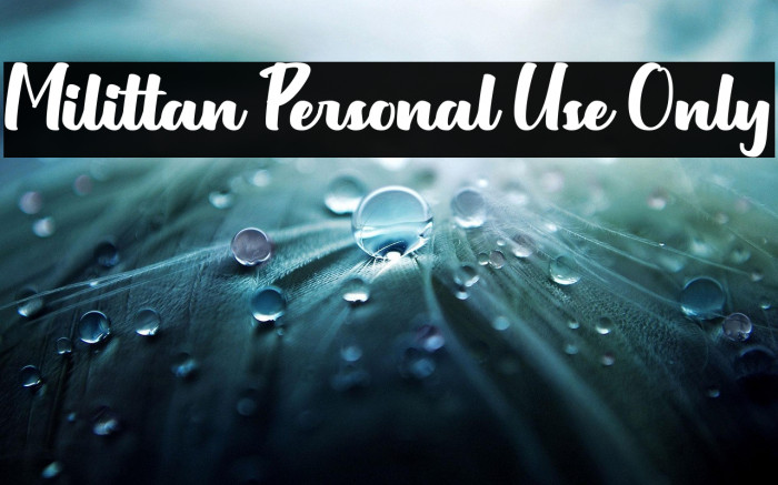 Milittan Personal Use Only Example 1