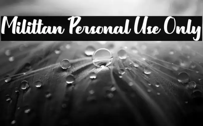 Milittan Personal Use Only Example 1