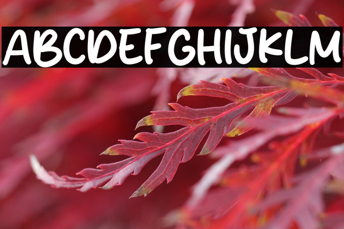 Milk Choco Font examples