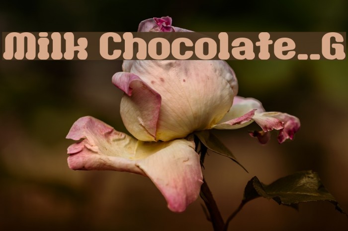 Milk Chocolate__G Font examples