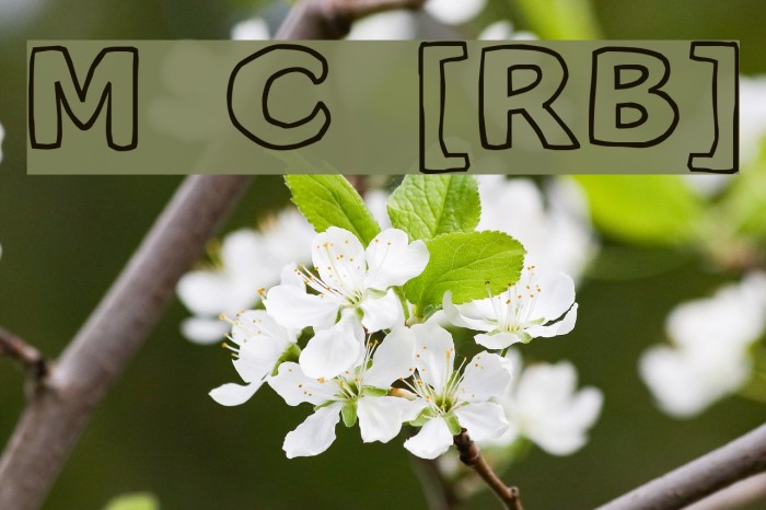 Milk Cocoa [sRB] Example 2