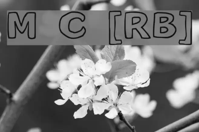 Milk Cocoa [sRB] Font examples