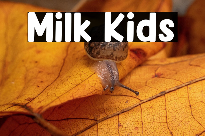 Milk Kids Example 2
