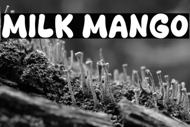 Milk Mango Example 3