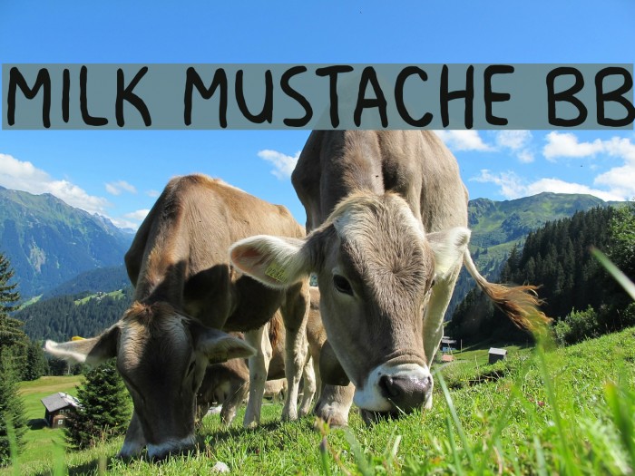 Milk Mustache BB Font examples