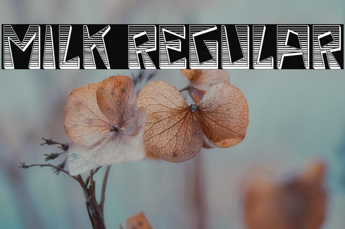 Milk Regular Example 1