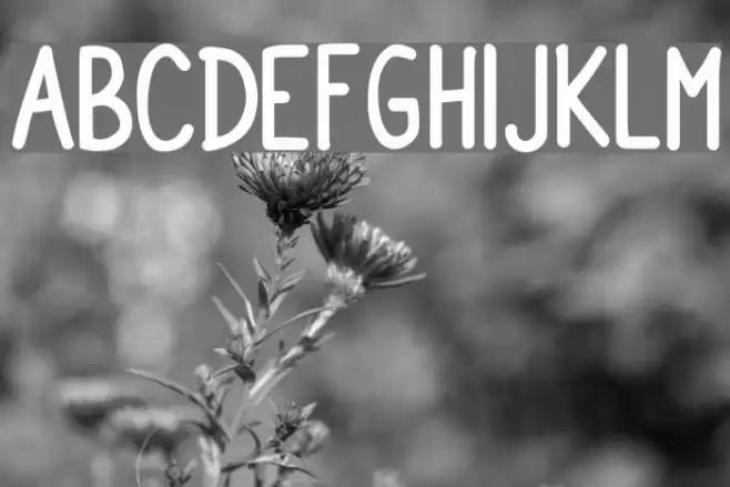 Milk Run Font examples