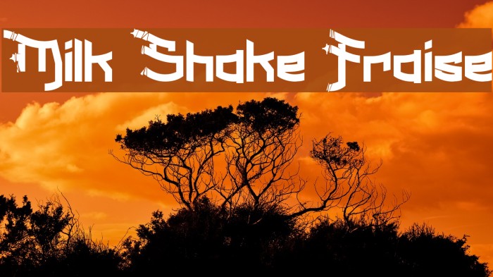 Milk Shake Fraise Example 2