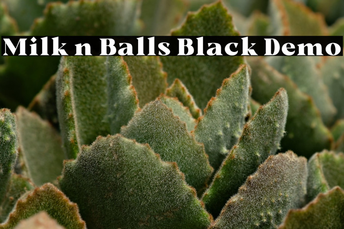 Milk n Balls Black Demo Example 2