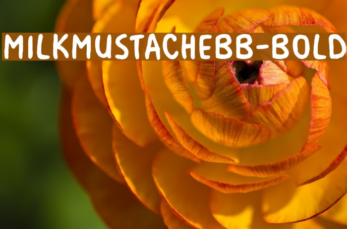 MilkMustacheBB-Bold Font examples
