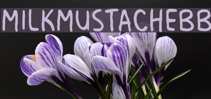 MilkMustacheBB Шрифта examples