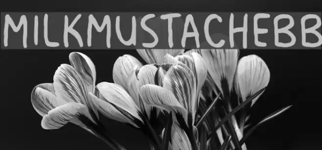 MilkMustacheBB Шрифта examples