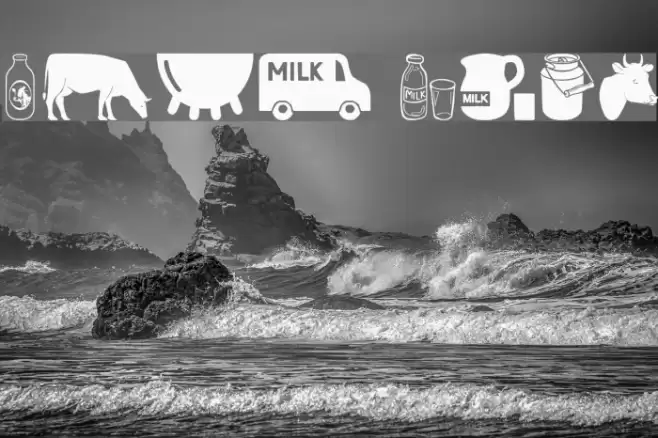 Milk Font examples