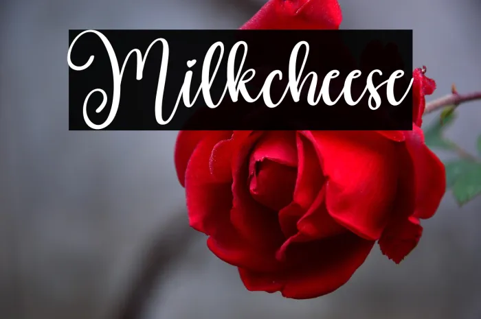 Milkcheese Example 2