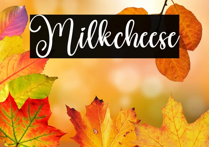 Milkcheese Example 3