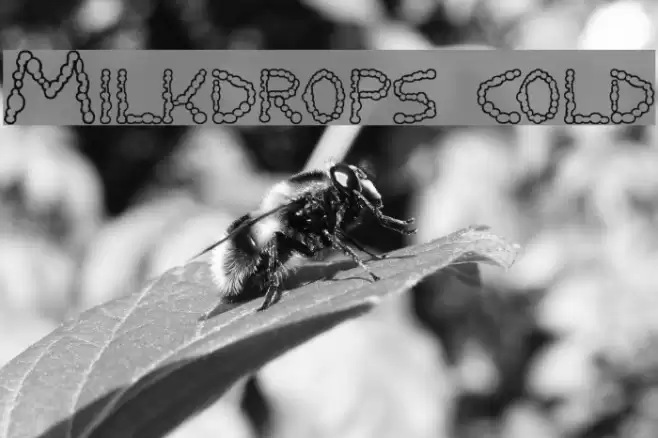 Milkdrops cold Polices examples