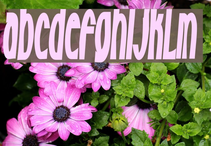 Milkfresh Font examples