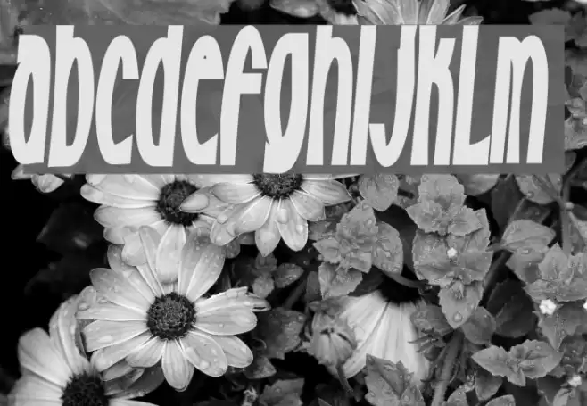 Milkfresh Font examples