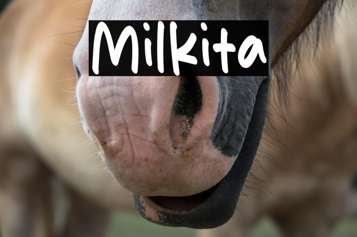 Milkita Example 2