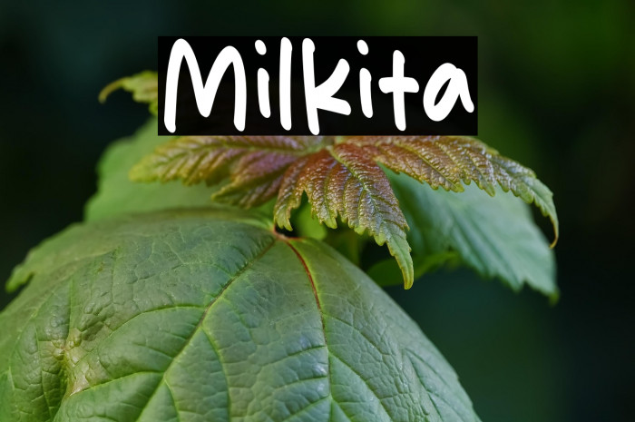 Milkita Example 3