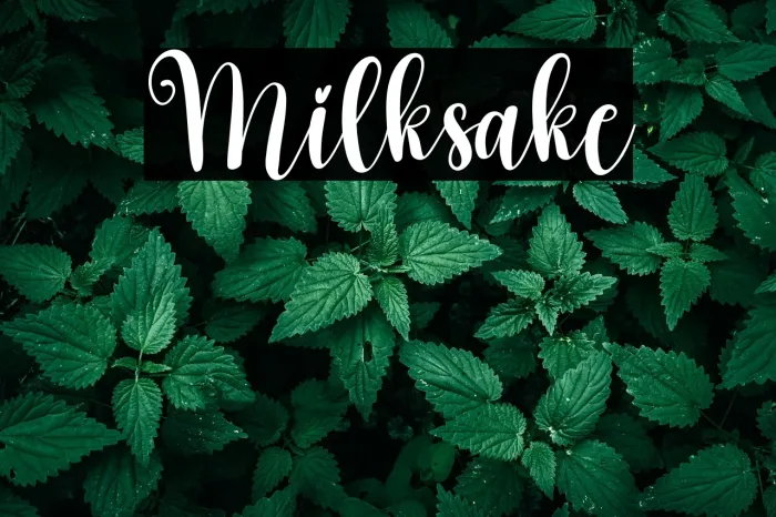 Milksake Example 1