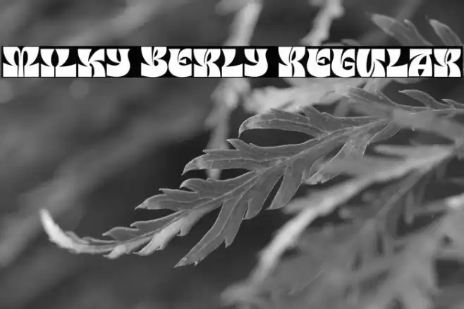 Milky Berly Regular Font examples