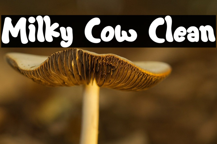 Milky Cow Clean Example 3