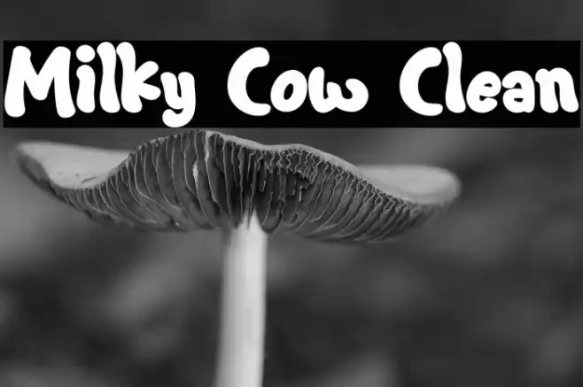 Milky Cow Clean Font examples