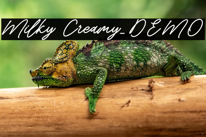 Milky Creamy_DEMO Example 1