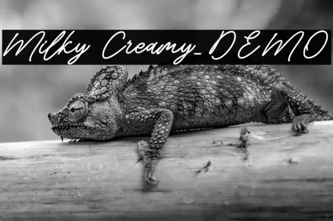 Milky Creamy_DEMO Font examples