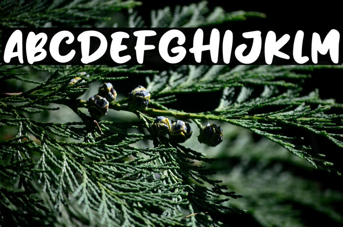 Milky Honey Example 3