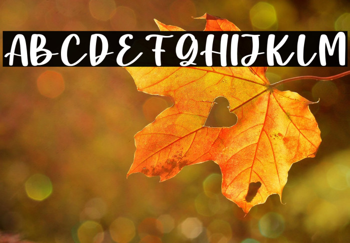 Milky Matcha Personal Use Example 2