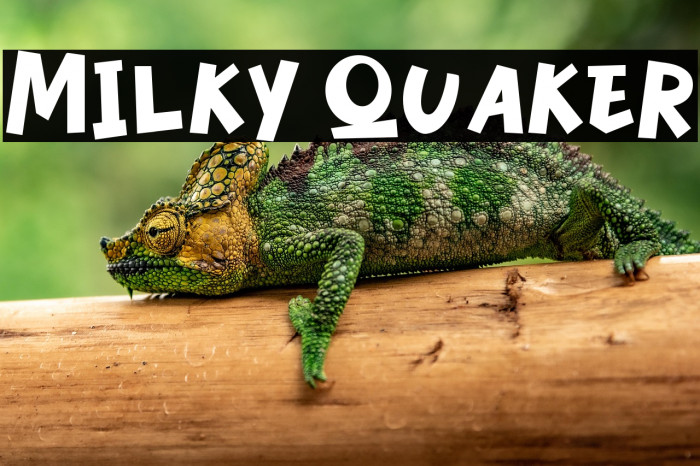 Milky Quaker Example 1