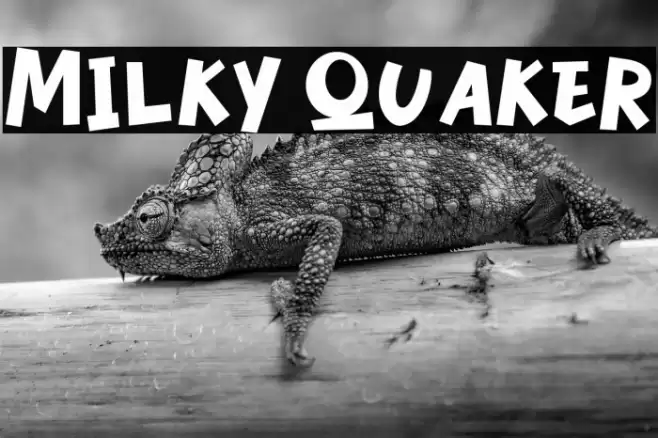 Milky Quaker Font examples