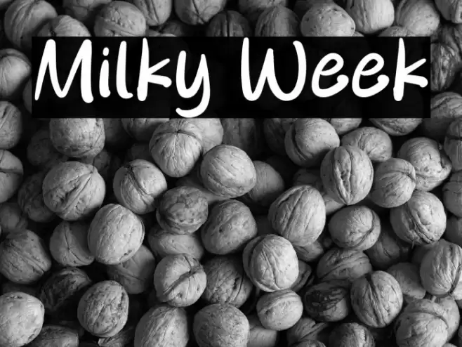 Milky Week Caratteri examples