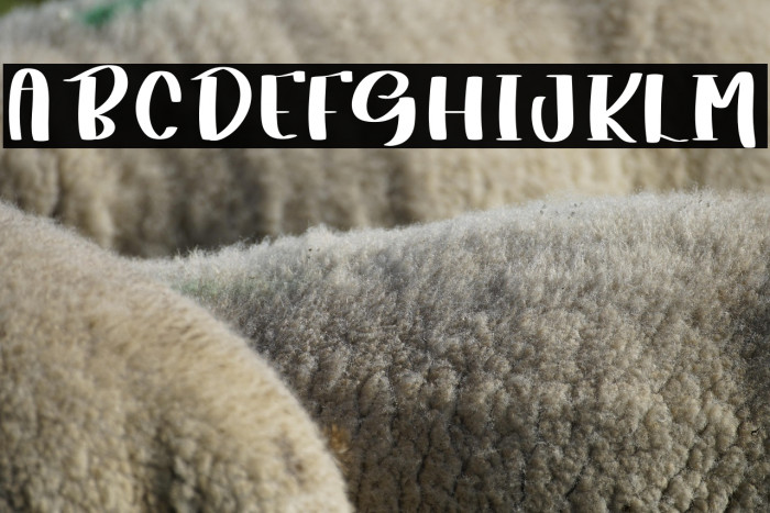 Milky  White Example 2