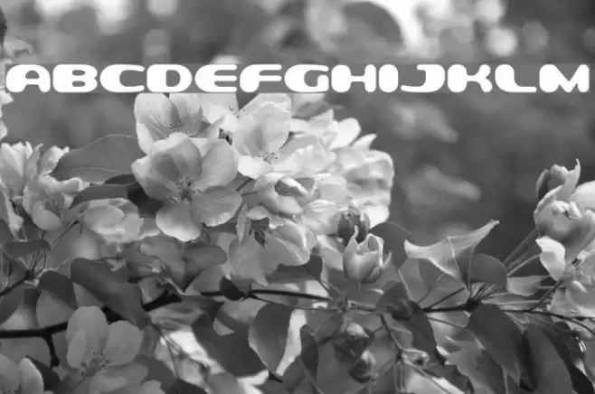 MilkyWell Font examples