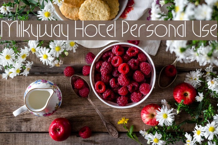 Milkyway Hotel Personal Use Font examples