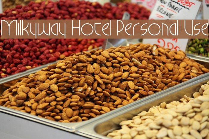 Milkyway Hotel Personal Use Font examples