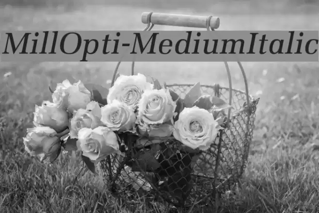MillOpti-MediumItalic Font examples