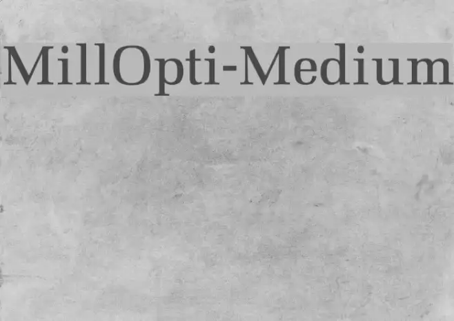 MillOpti-Medium Example 1