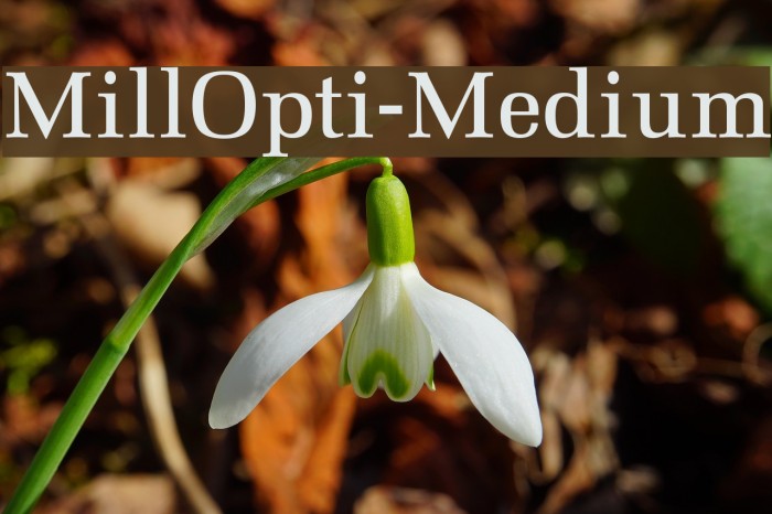 MillOpti-Medium Font examples