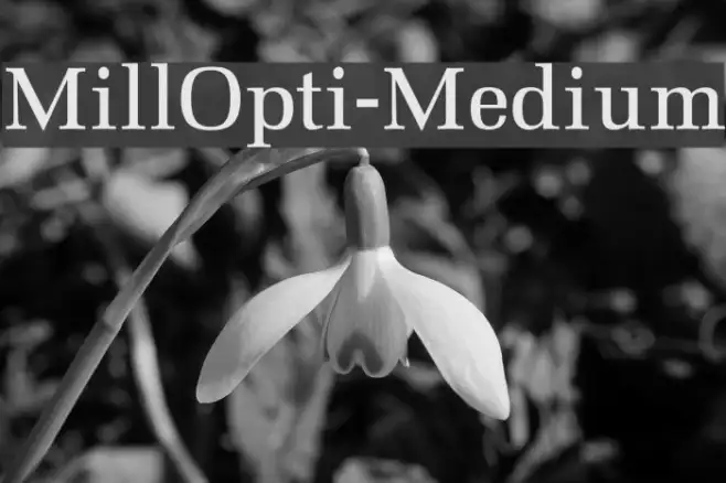 MillOpti-Medium Example 2