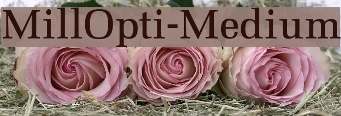 MillOpti-Medium Font examples